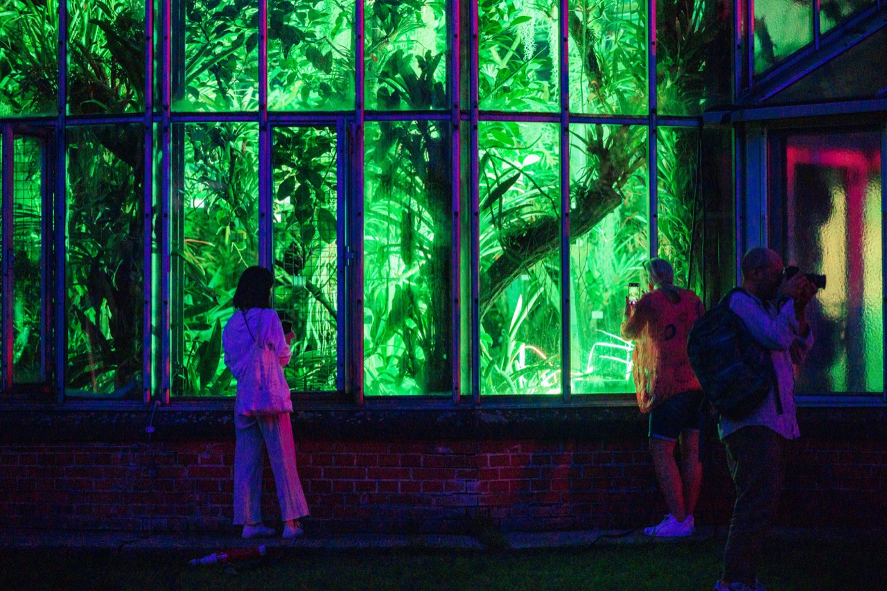 People photographing a greenhouse lit green and pink at night